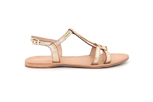 LES TROPEZIENNES HACKLIO<br>DORE