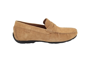 TBS SADILAC<br>MARRON