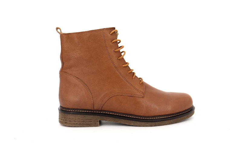 Aliwell boots et bottines zag marron